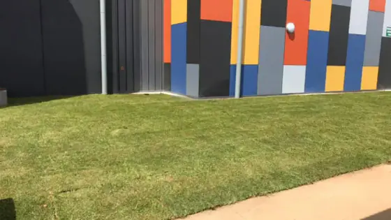 Freshly laid turf beside a building with a colourful panelled wall