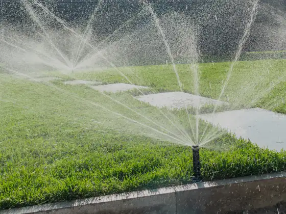 Pop-up sprinklers watering an established lawn beside concrete stepping pads