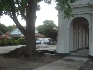 Mature tree kept in place during irrigation work beside a rendered building with an arched verandah