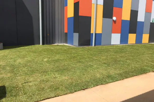 Freshly laid turf beside a building with a colourful panelled wall