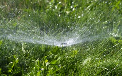 The Importance of Quality Irrigation