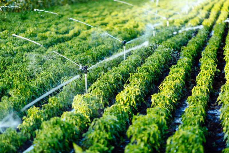 Benefits of Automated Irrigation Systems